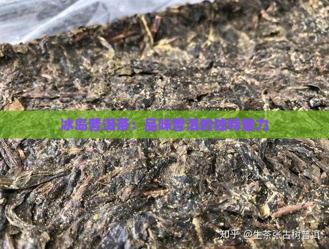 池州冰岛普洱茶