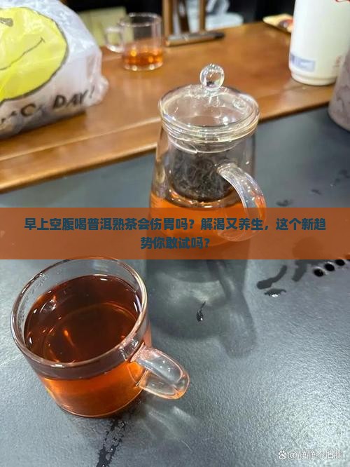 早上可以空腹喝普洱熟茶吗