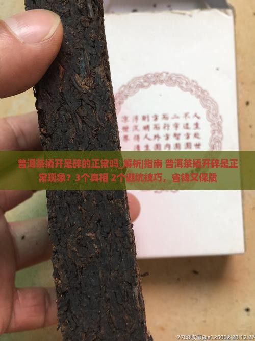 普洱茶撬开是碎的正常吗