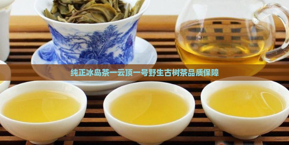 纯正冰岛茶一云顶一号