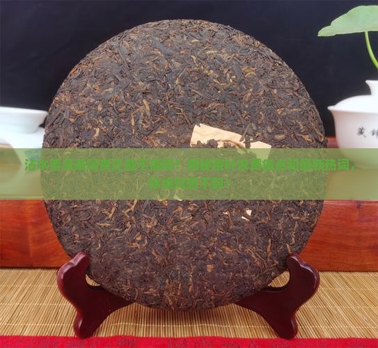 沾水普洱茶隔夜还能不能喝