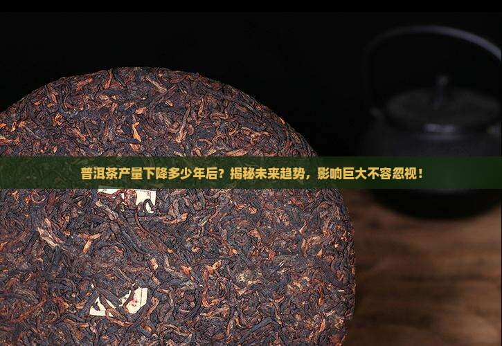 普洱茶产量下降多少年后
