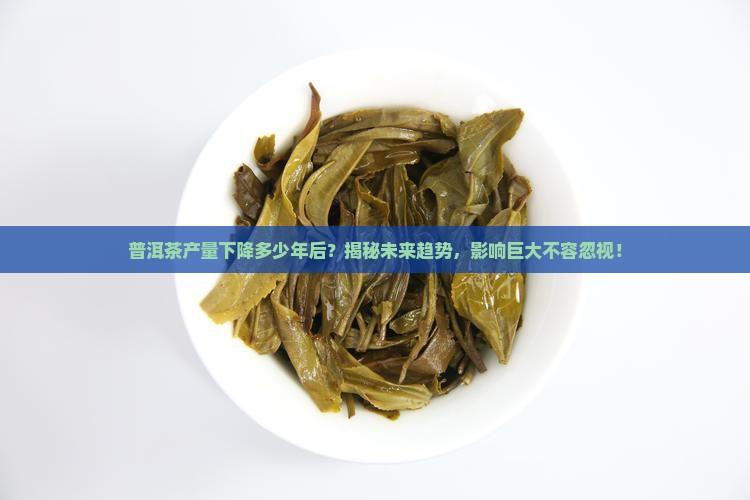 普洱茶产量下降多少年后