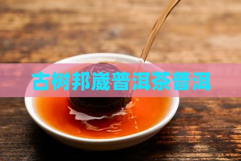 邦威2013年古树茶