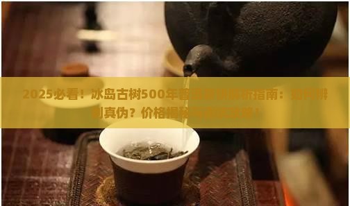 冰岛古树500年普洱茶饼