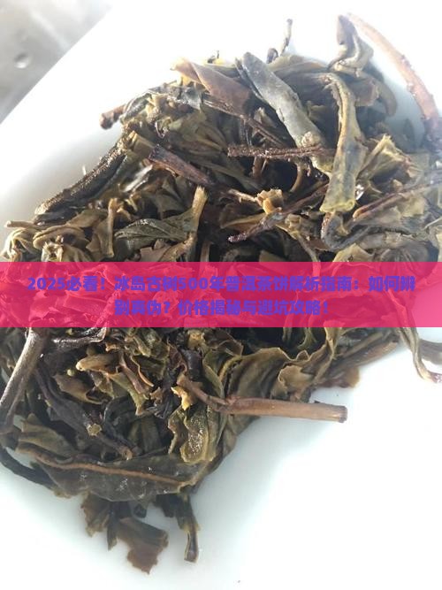 冰岛古树500年普洱茶饼