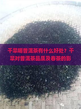 干旱喝普洱茶有什么好处