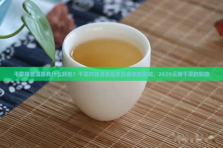 干旱喝普洱茶有什么好处