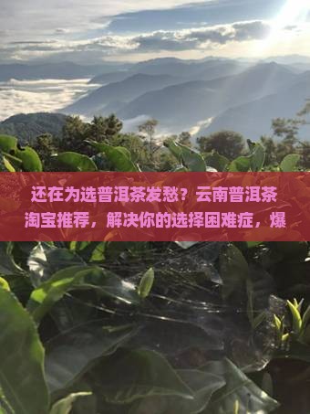 云南普洱茶淘宝推荐