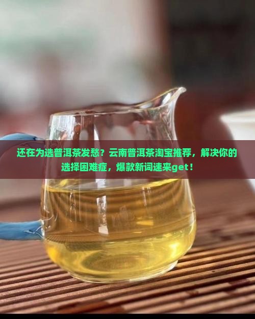 云南普洱茶淘宝推荐