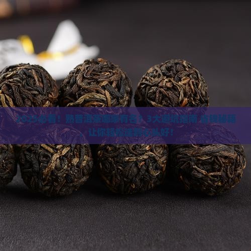 熟普洱茶哪家有名