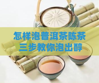 怎样泡普洱茶陈茶