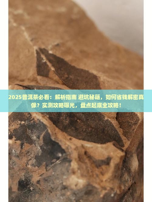普洱茶怎么不被坑