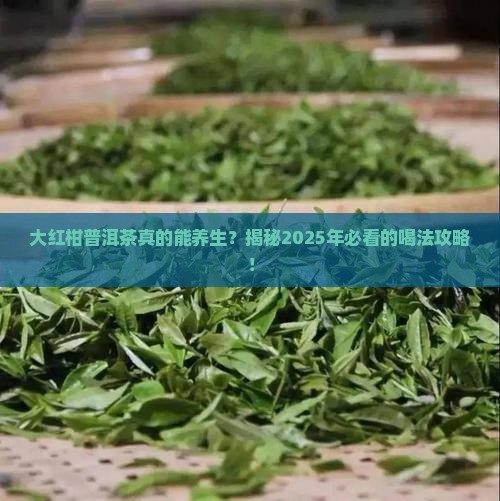 大红柑普洱茶功效作用