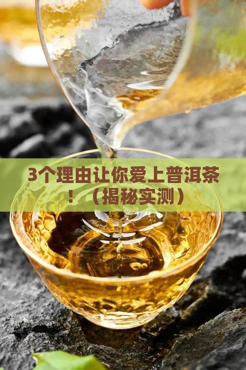 普洱茶名遍天下