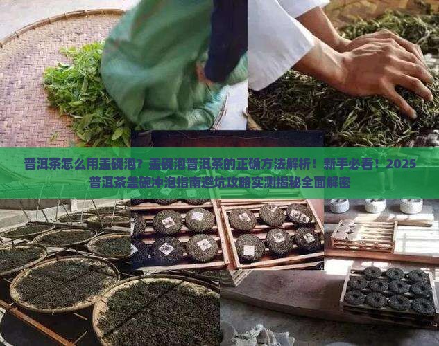 普洱茶怎么用盖碗泡