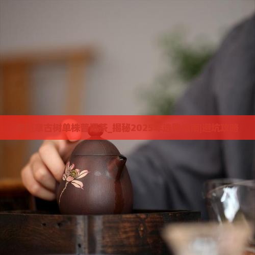 老班章古树单株普洱茶
