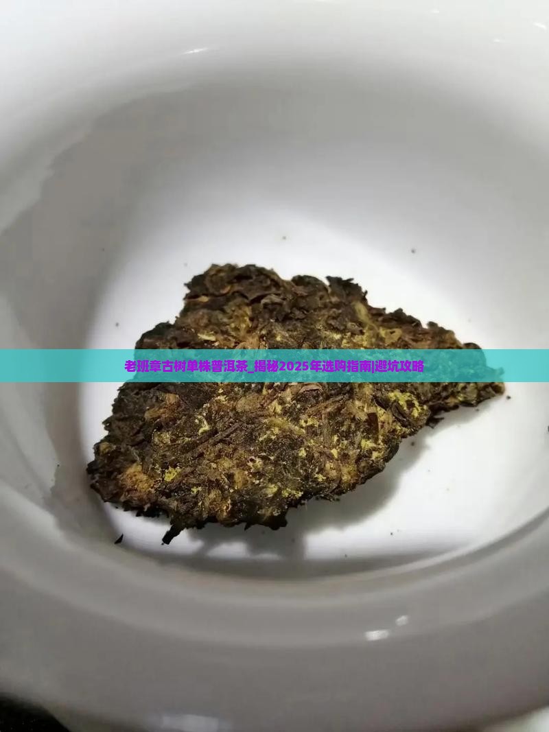 老班章古树单株普洱茶