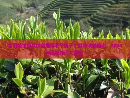 普洱茶饼购买纳盒推荐哪个牌子