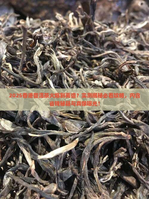 普洱茶在香港有多火