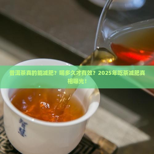 普洱茶要吃多久才可以减肥