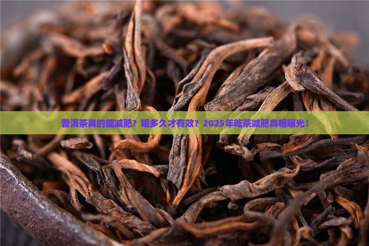 普洱茶要吃多久才可以减肥