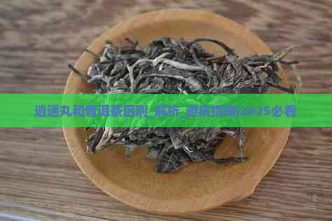 逍遥丸和普洱茶区别