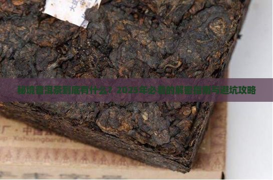 秘境普洱茶有哪些