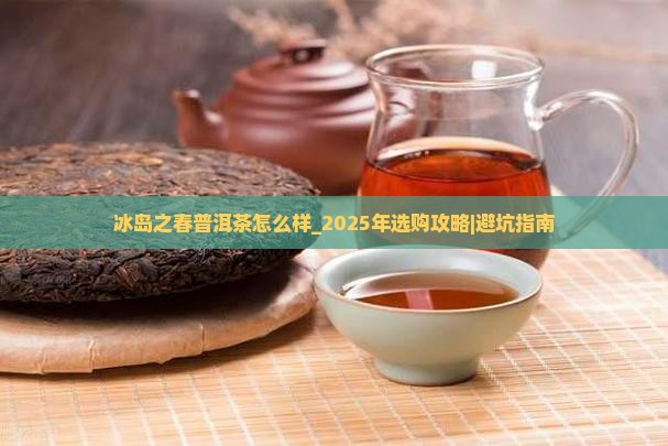 冰岛之春普洱茶怎么样