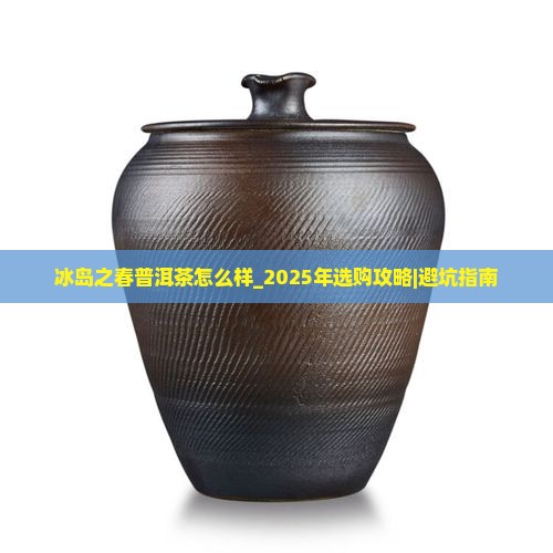 冰岛之春普洱茶怎么样