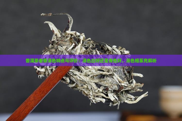普洱茶老茶汤色
