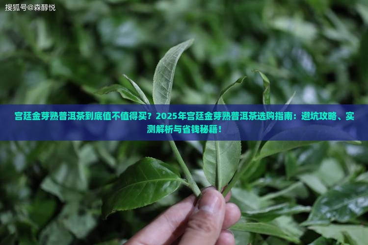 宫廷金芽熟普洱茶