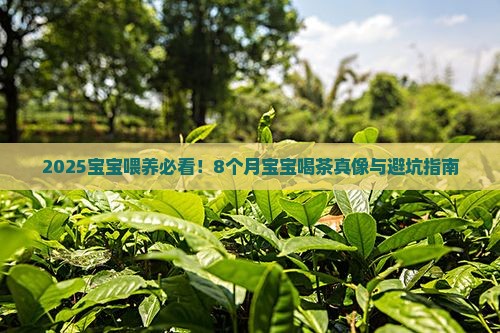 8个月宝宝可以喝茶吗