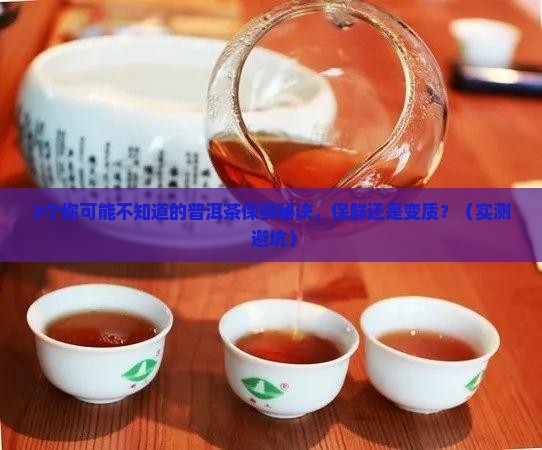 普洱茶能放保鲜吗
