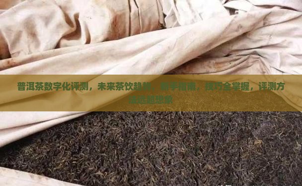 普洱茶数字化评测