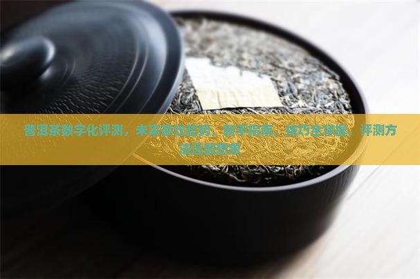 普洱茶数字化评测