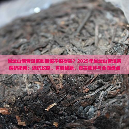 易武山韵普洱茶