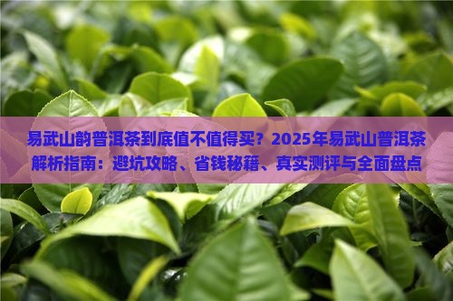 易武山韵普洱茶
