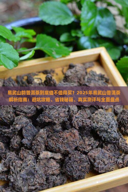 易武山韵普洱茶