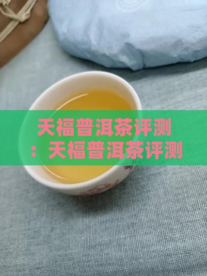 天福普洱茶评测