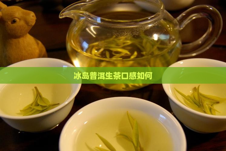 冰岛纯料生茶怎么样