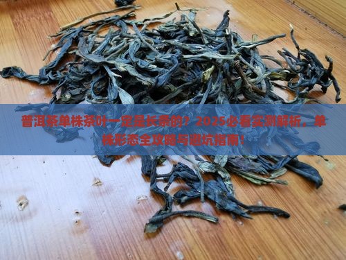 普洱茶单株茶叶一定是长条的吗