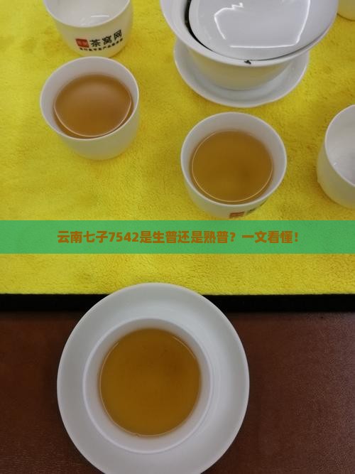 云南七子7542是生普还是熟普
