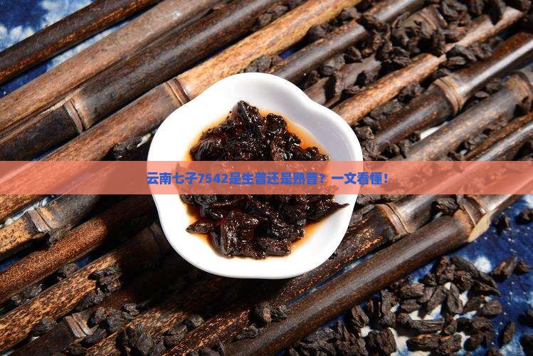 云南七子7542是生普还是熟普