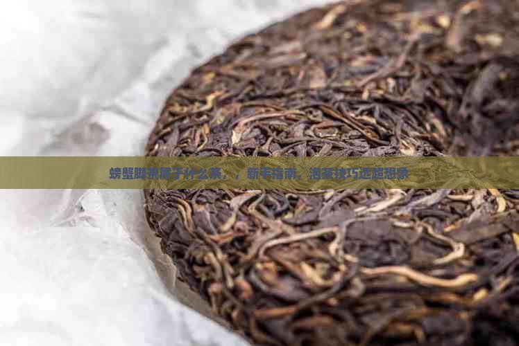 螃蟹脚茶属于什么茶