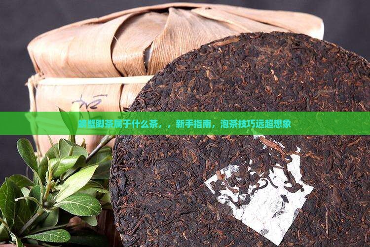 螃蟹脚茶属于什么茶