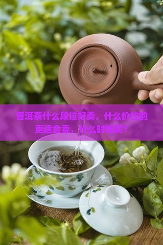 普洱茶什么段位好卖