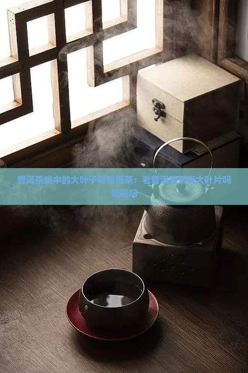 老普洱茶饼有大叶片吗能喝吗