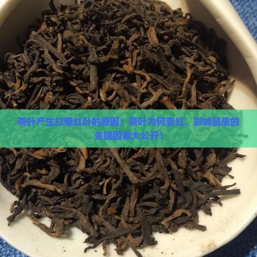 茶叶产生红梗红叶的原因