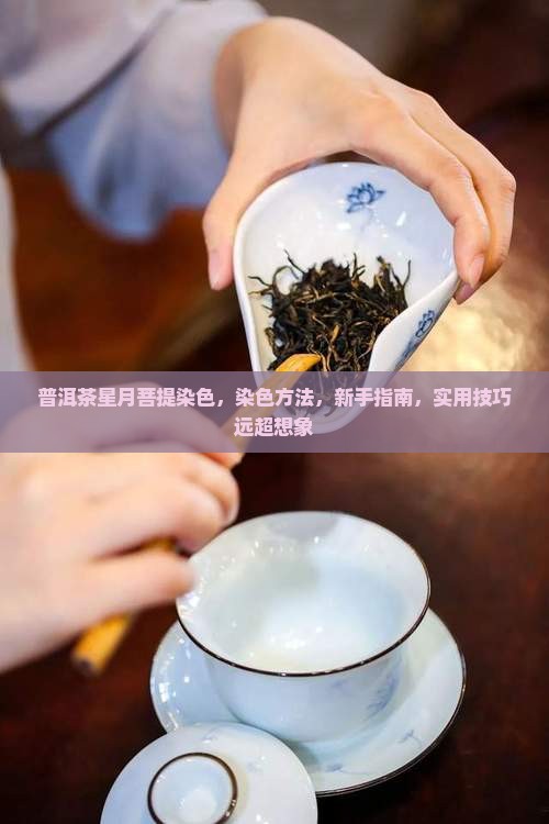 普洱茶星月菩提染色